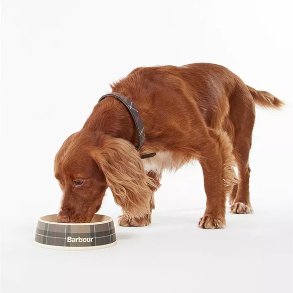 7 pcs NEW BUNDLE DEAL FOR YOUR PET BOWL AND TOY - Picture 4 of 4